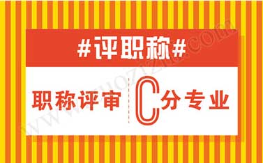 中级职称评审 中级职称代评