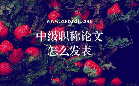 中级职称论文发表价格 中级职称论文怎么发表