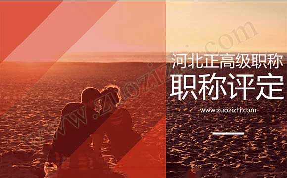 正高级工程师任职资质 河北省正高级工程师评审