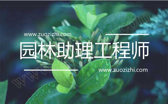 职称评定条件及流程 园林助理工程师