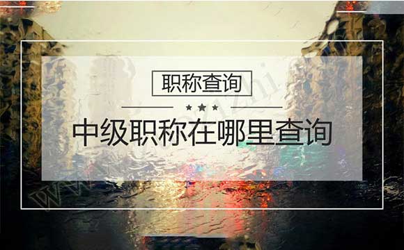 中级工程师证查询网站 河北专业技术资格人员信息网