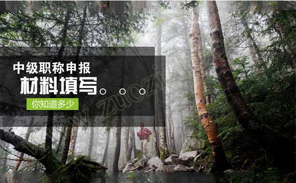 中级职称申报材料填写 职称申报材料