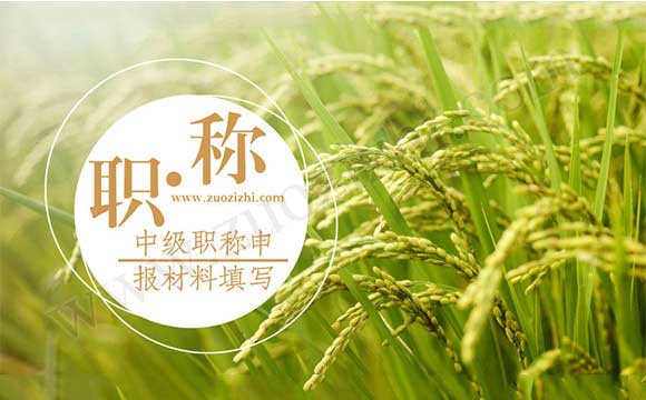 职称申报材料填写 中级职称申报材料填写