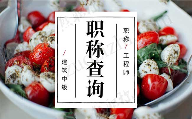 工程师职称查询系统 建筑中级职称查询