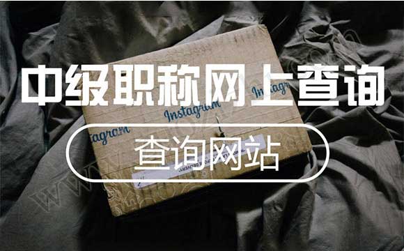 中级职称网上查询 中级职称查询网