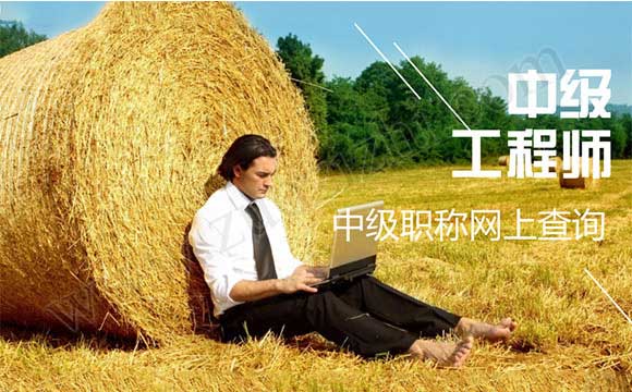 中级职称查询网 中级职称网上查询