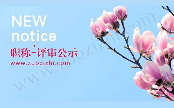 职称评审公示 职称评审造假