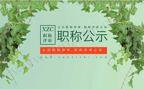 职称评审造假 职称评审公示
