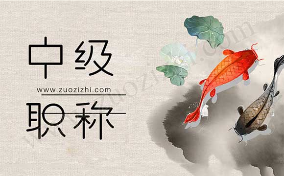 中级职称外单位使用价格 中级职称哪些专业值钱