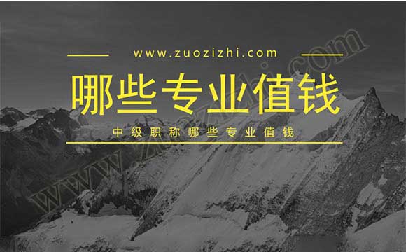 中级职称外单位使用价格 中级职称哪些专业值钱