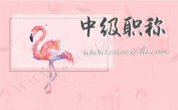 中级职称哪些专业值钱 中级职称外单位使用价格