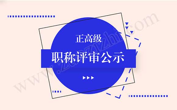 副高级职称评审公示 正高级职称评审公示