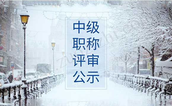 正高级职称评审公示 中级职称评审公示