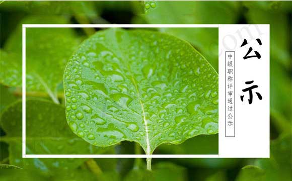 工程师职称评审通过公示 职称评审通过公示