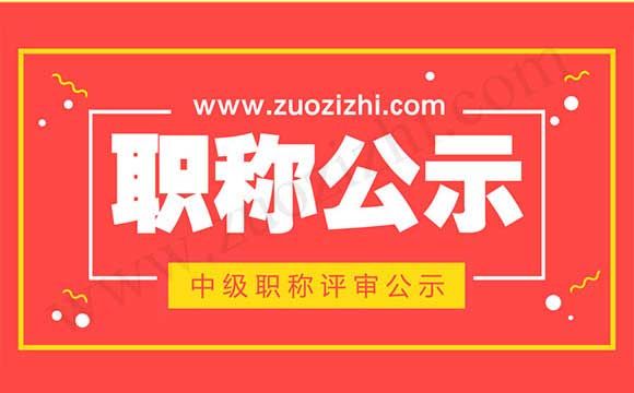 职称公示 职称评审公示