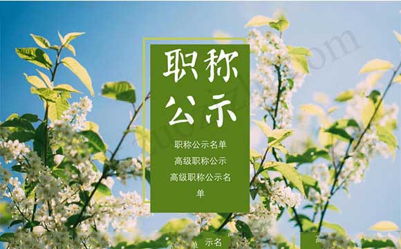 职称公示名单 高级职称公示