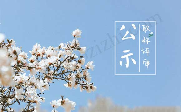 高级职称公示名单 高级职称通过名单