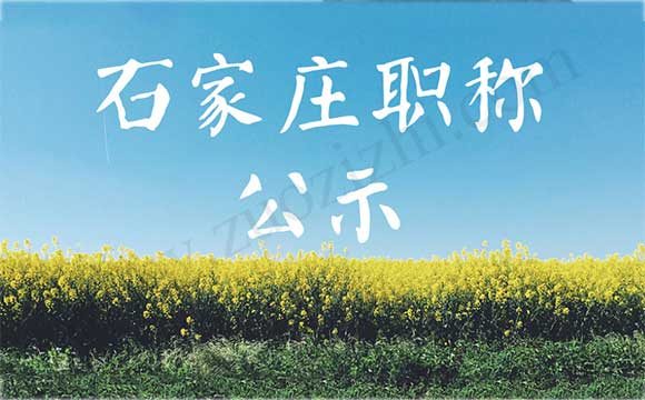 石家庄工程师职称公示 石家庄职称公示