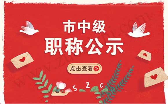 市中级职称公示 市中级工程师公示名单