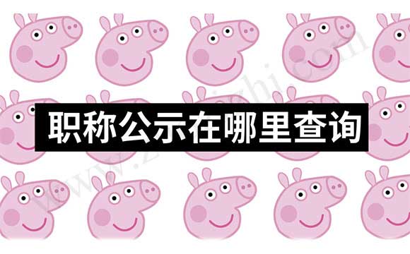 职称公示在哪里查询 职称评定公示结果