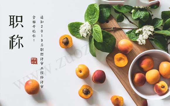 职称评定结果 职称代评结果