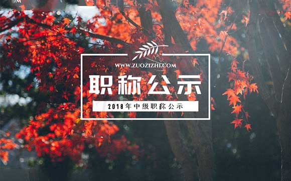 工程师评审通过公示 建筑工程师评审公示