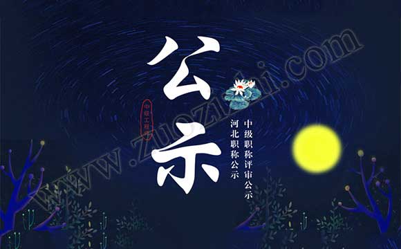 中级职称评审公示 河北职称公示