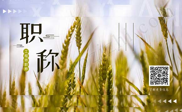 职称信息管理系统 河北省职称信息管理系统