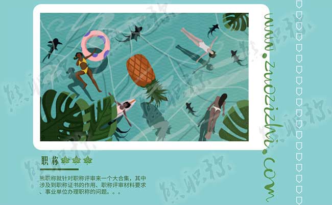 职称评审 职称发展历程