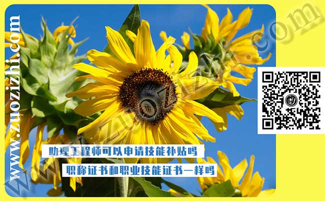 职称证书和职业技能证书一样吗 技能补贴