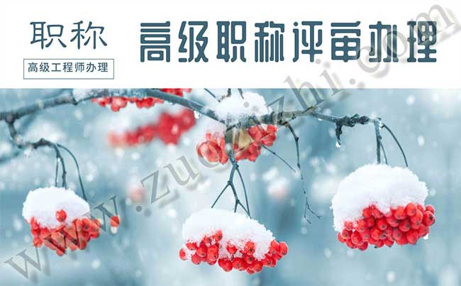 高级职称人员延长退休新政策 高级职称评审