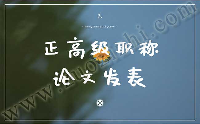 代写代发职称论文 正高级职称论文发表有什么要求