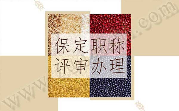 保定职称评审办理 保定职称评审办理要求