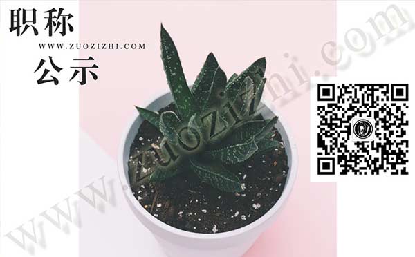 高级职称资格审核 职称资格审核
