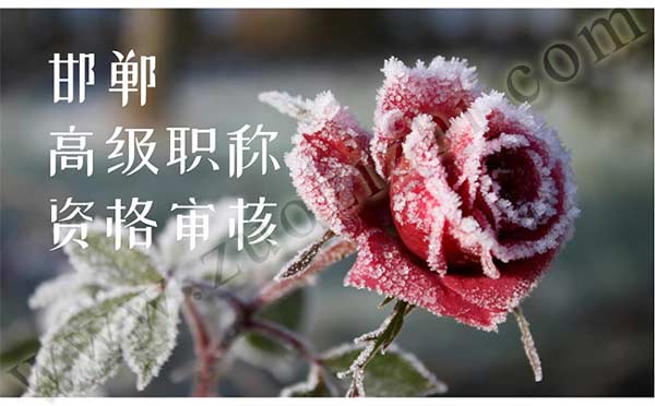 职称资格审核 邯郸高级职称资格审核