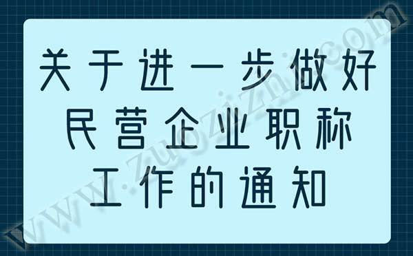 职称政策 关于进一步做好民营企业职称工作的通知