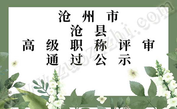 沧州职称评审 沧州职称评审公示