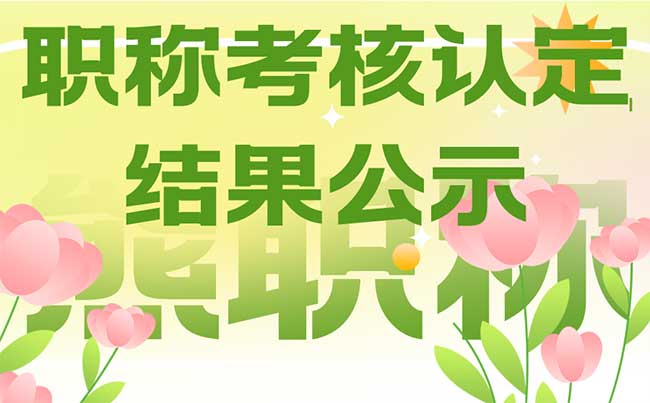 职称考核认定结果公示 职称考核认定结果公示