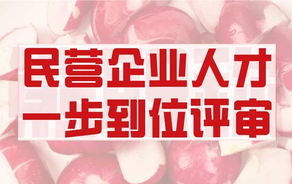 民营企业人才职称办理 民营企业人才职称办理