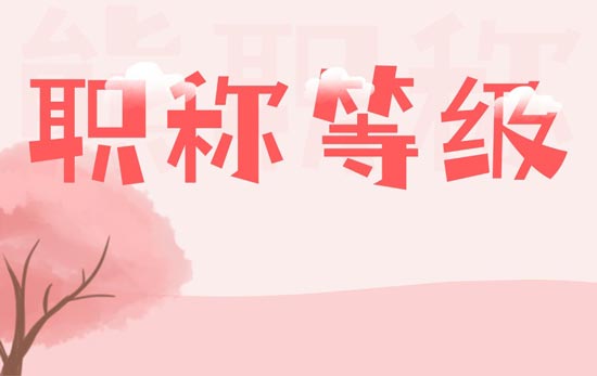 职称等级 职称等级