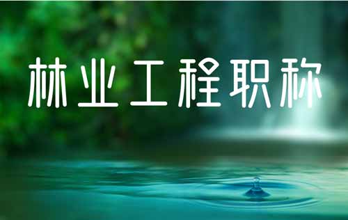 职称评审公示 职称评审公示