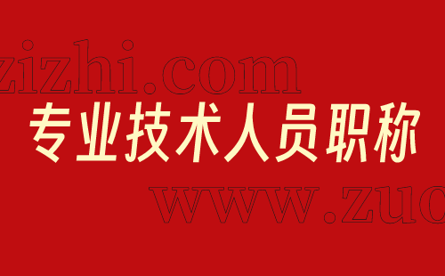 专业技术人员职称 专业技术人员职称