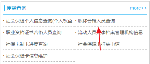 职称查询 职称网查