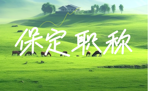 保定职称 保定职称