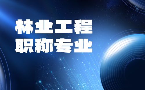 职称专业 工程师职称