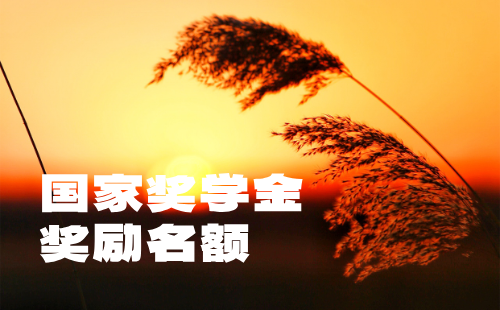国家奖学金奖励名额 国家奖学金奖励名额