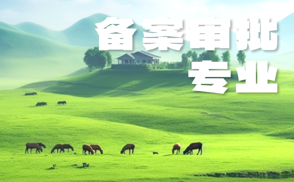 等级赋分