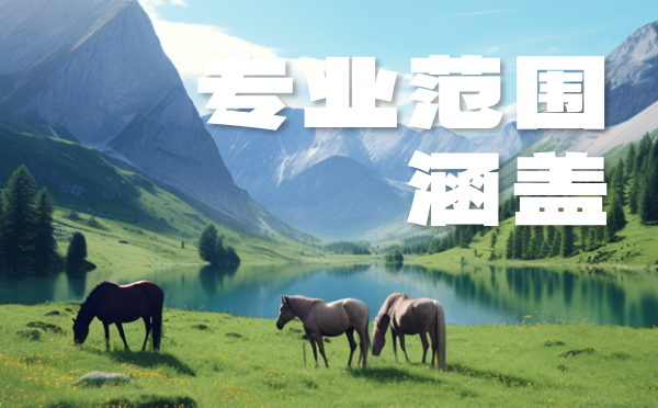专科专业目录