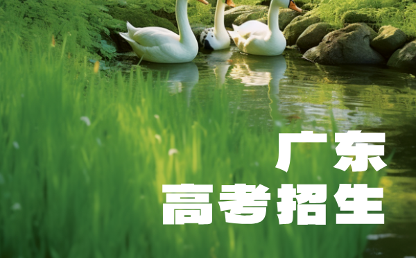 青海2025普高招生报名工作通知
