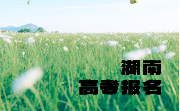 青海2025普高招生报名工作通知